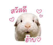 858414361