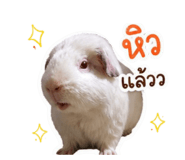 858414364