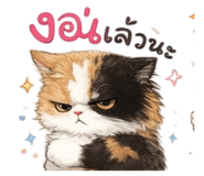 858414905