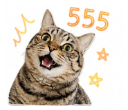 858414935