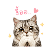 858415132