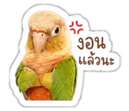 858415314