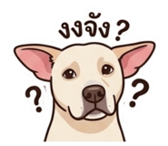 858416800