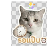 858418051