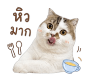 858418077