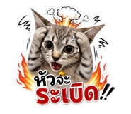 858418134
