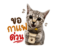 858418146