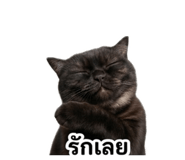 858418153