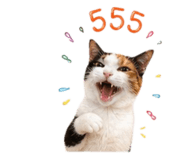 858418211