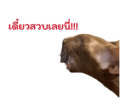 858418244