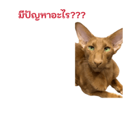 858418245