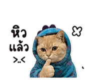 858418310