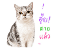 858418445