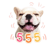 858418618