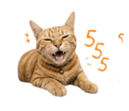 858418926