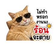 858419415