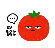 858420169