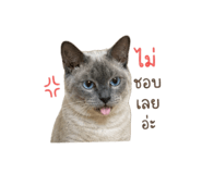 858420501