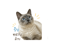 858420507