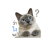 858420508