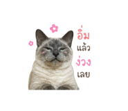 858420509