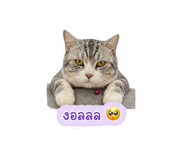 858421251