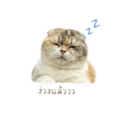 858422560