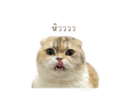 858422565