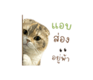 858422578