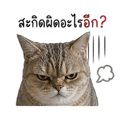858422956