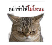 858422957