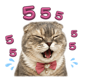 858423357