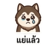 858424205