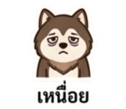 858424206