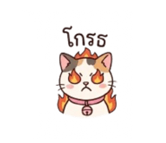 858424292