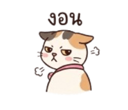 858424297