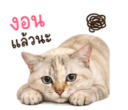 858427930