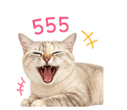 858427937