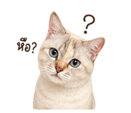 858427940