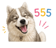 858428810