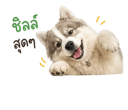858428814