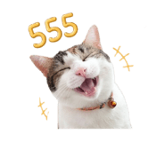 858429194