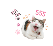 858429227