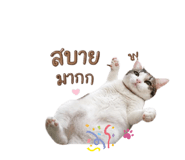 858429230