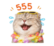 858429548