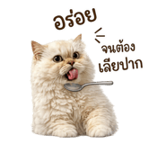 858430156