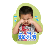 858430242