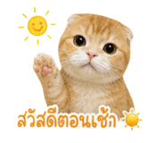 858430505