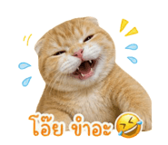 858430513