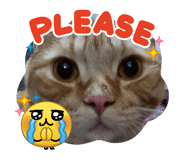 858430638